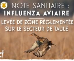 Nouveauté 2023 - demandes d'inscription à l'examen du permis de chasser