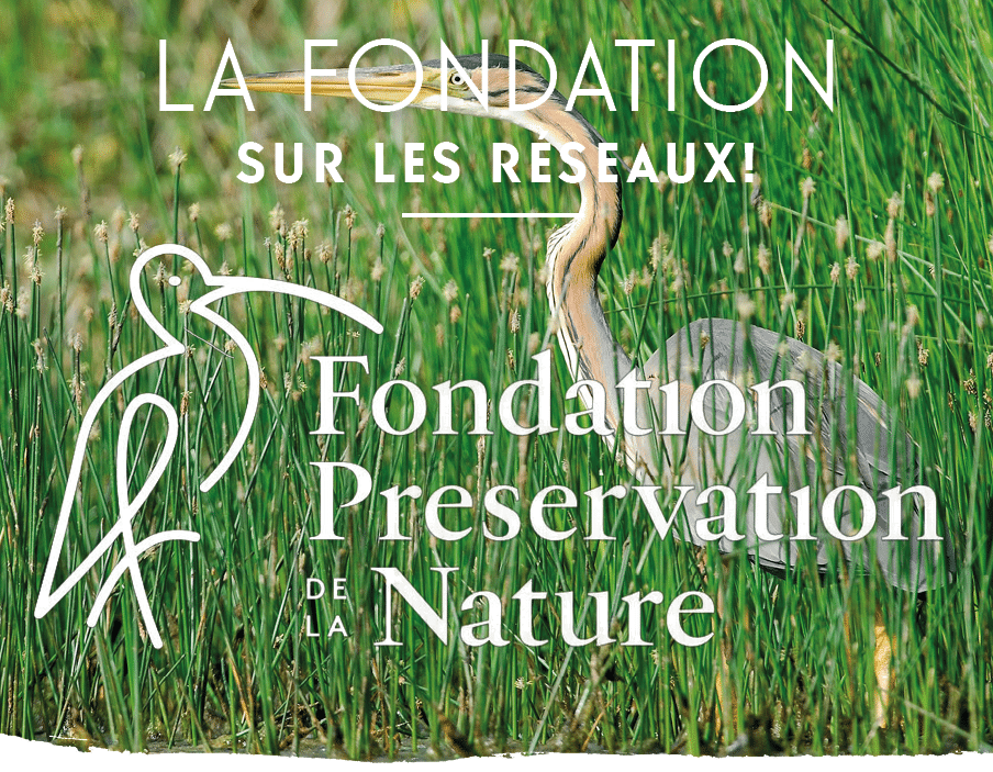 Fondation pour la Préservation de la Nature – espaces naturels protégés